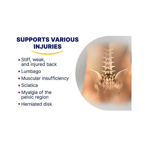 48710-elastoplast-sport-protective-back-support-1