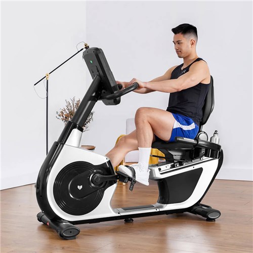 Lifespan recumbent bike sale