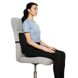 FP013-flexi-pillow-lumbar-cushion-1