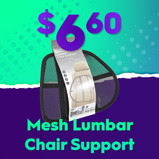 $6.60 Mesh Lumbar Chair Support